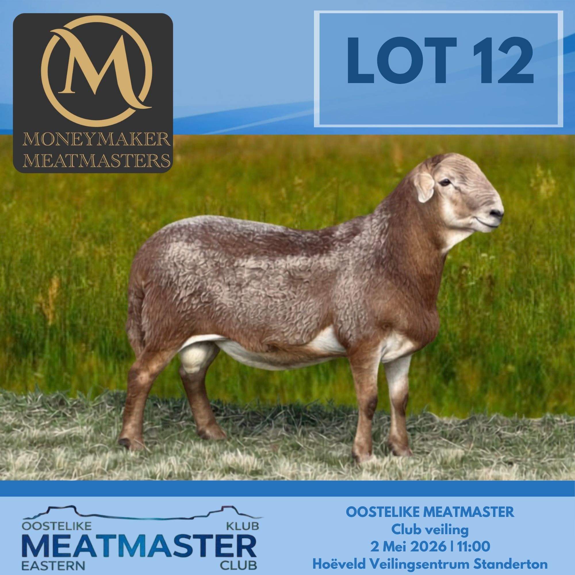 Lot 12