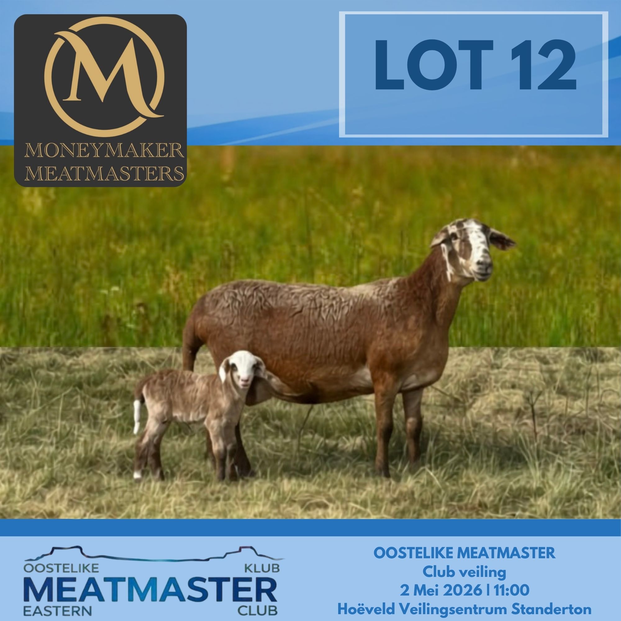 Lot 12b