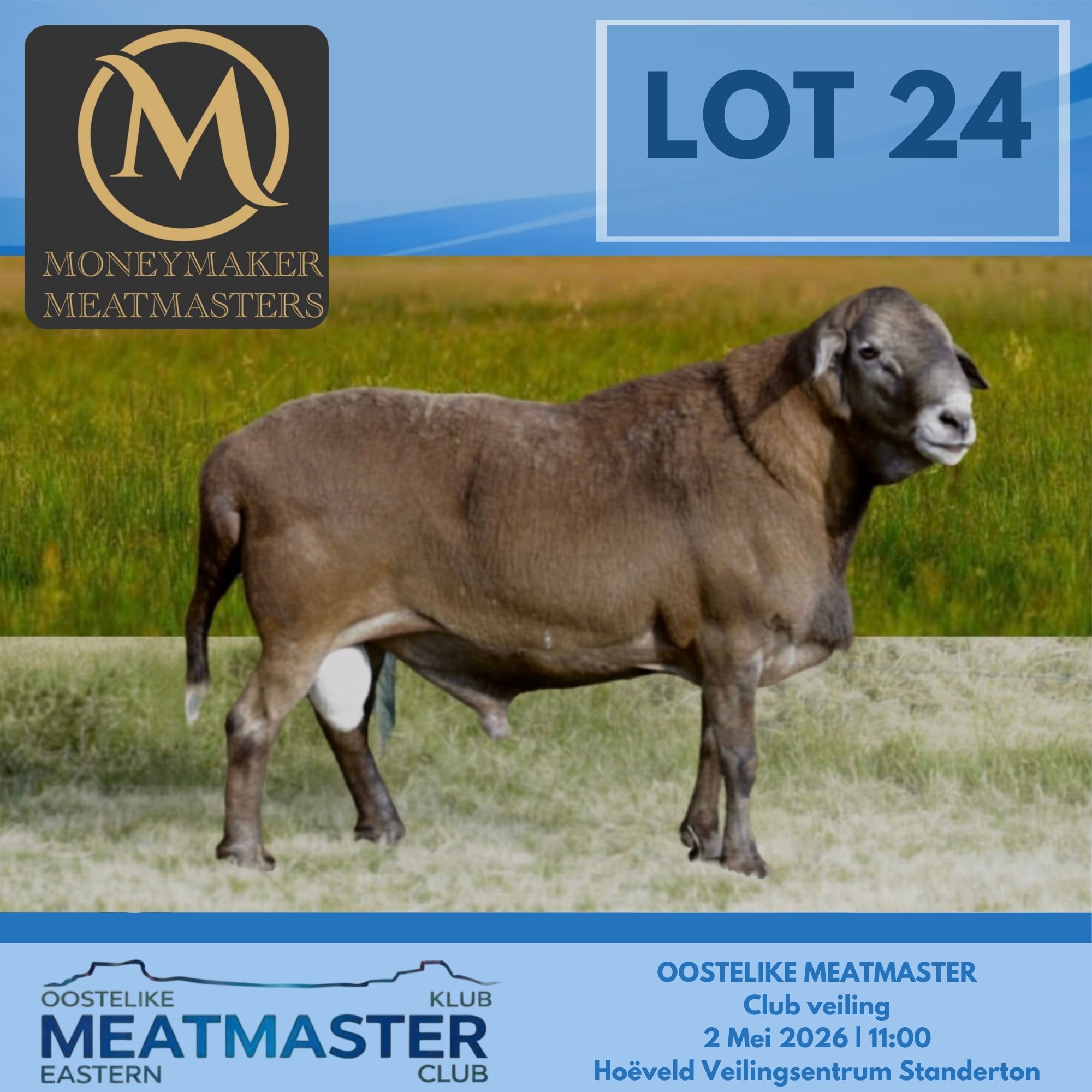 Lot 24