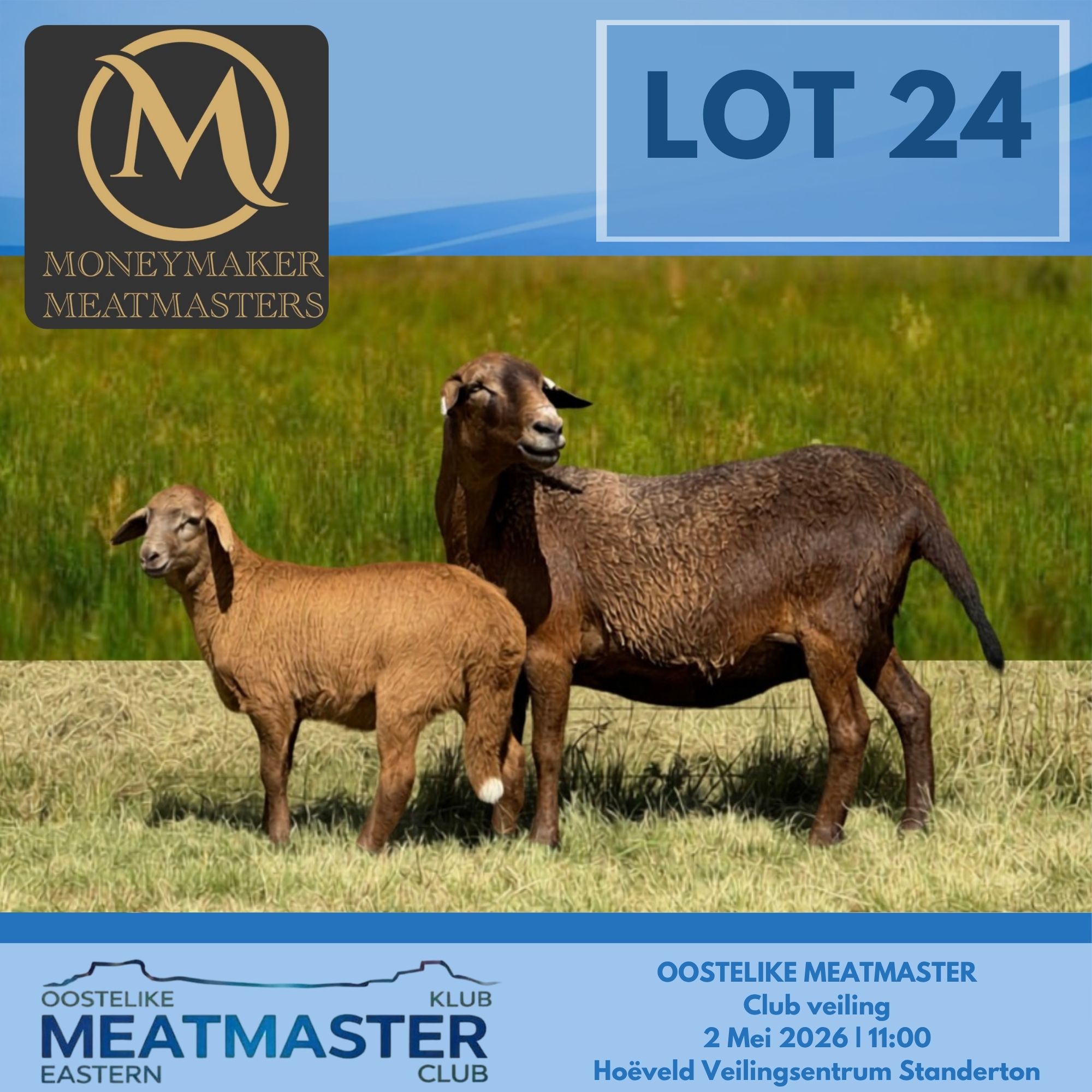 Lot 24b