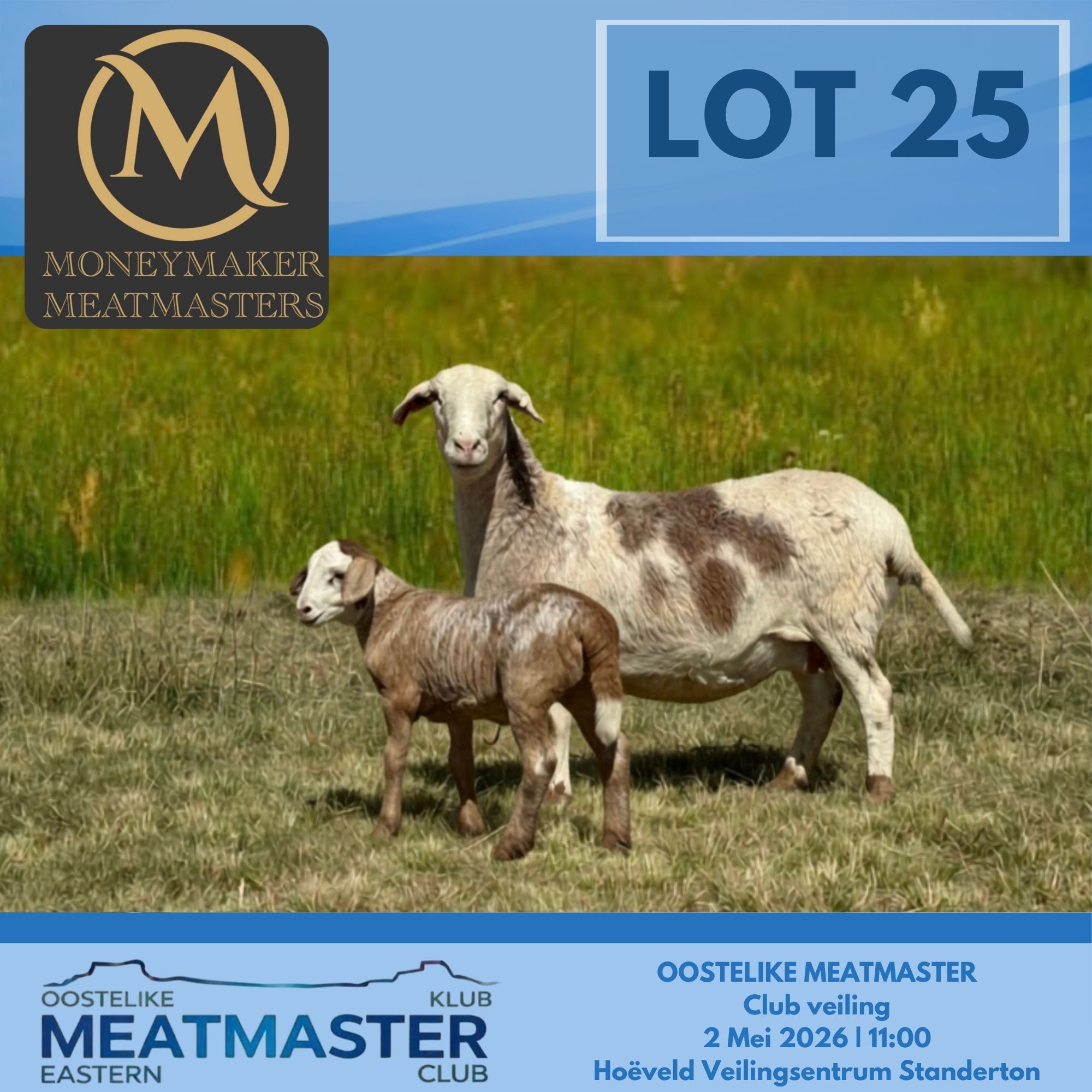Lot 25