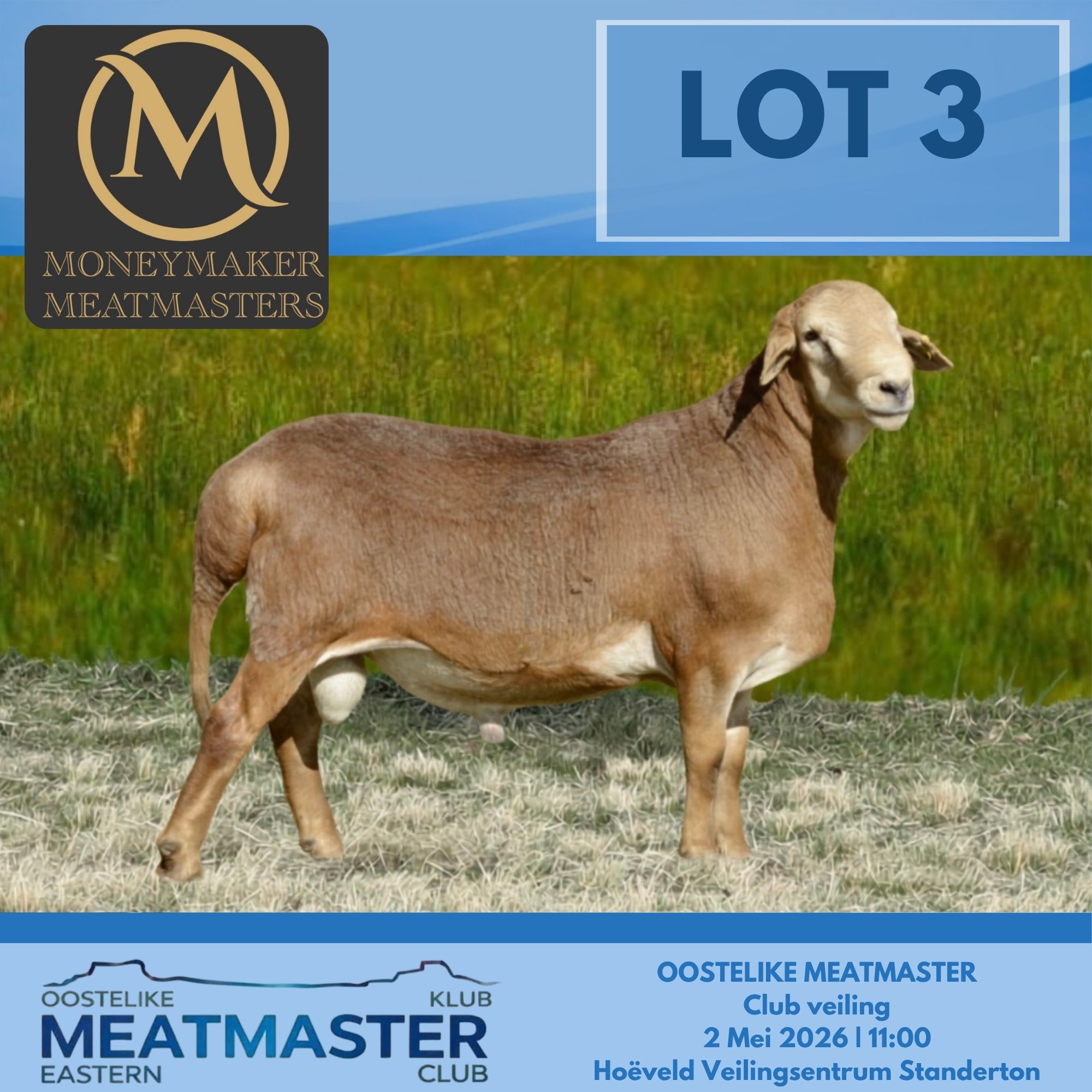 Lot 3