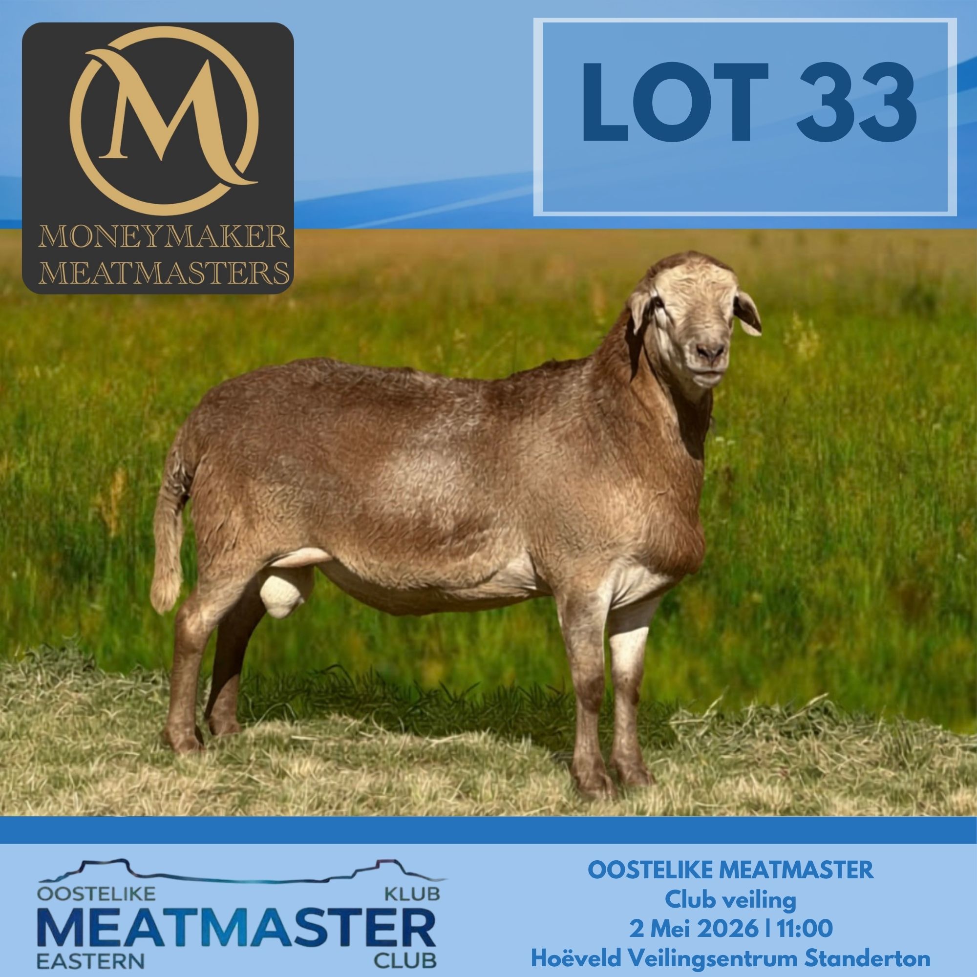 Lot 33