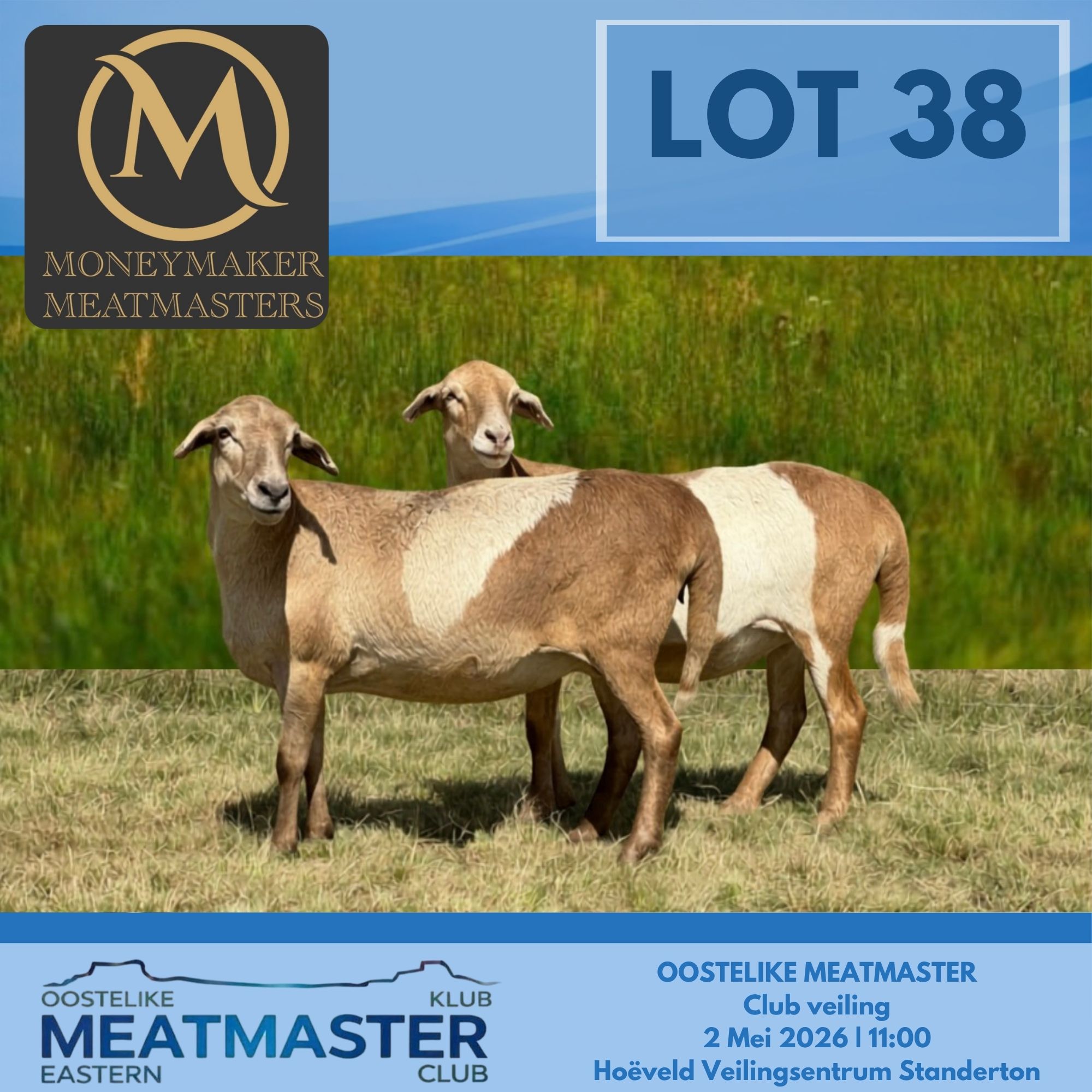 Lot 38