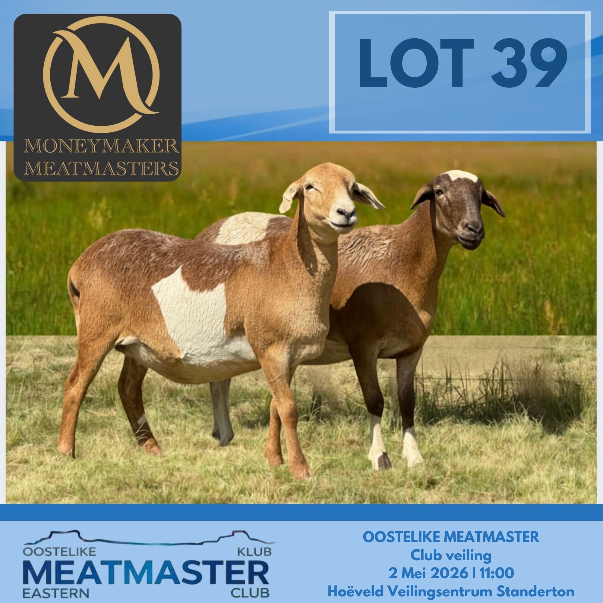 Lot 39