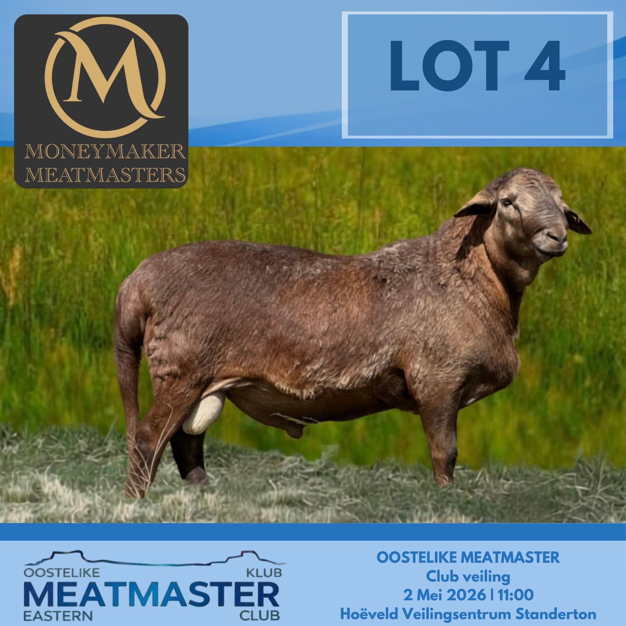 Lot 4
