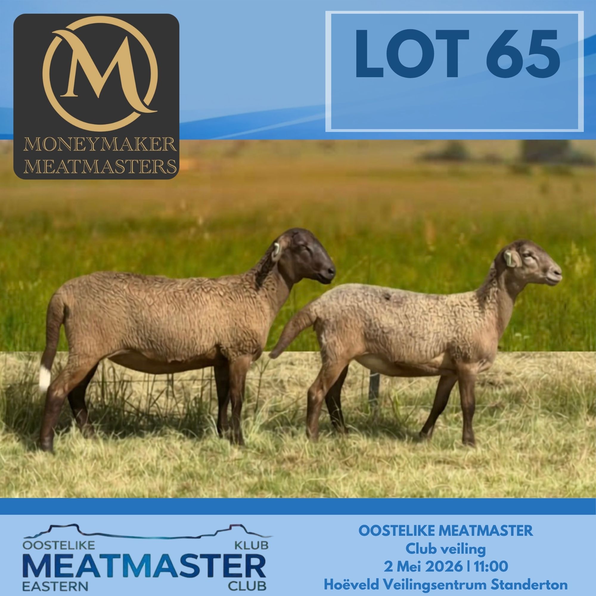 Lot 65