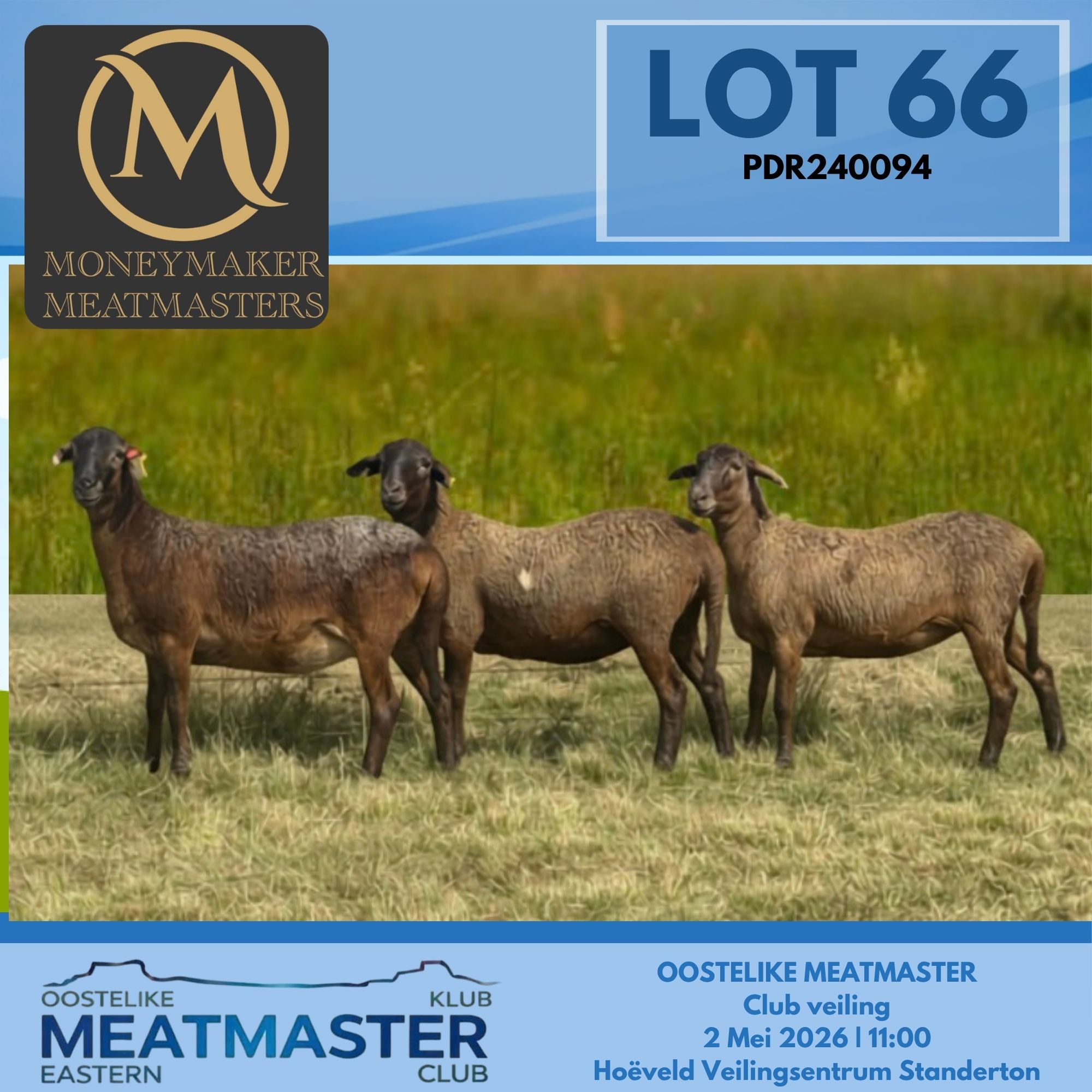 Lot 66