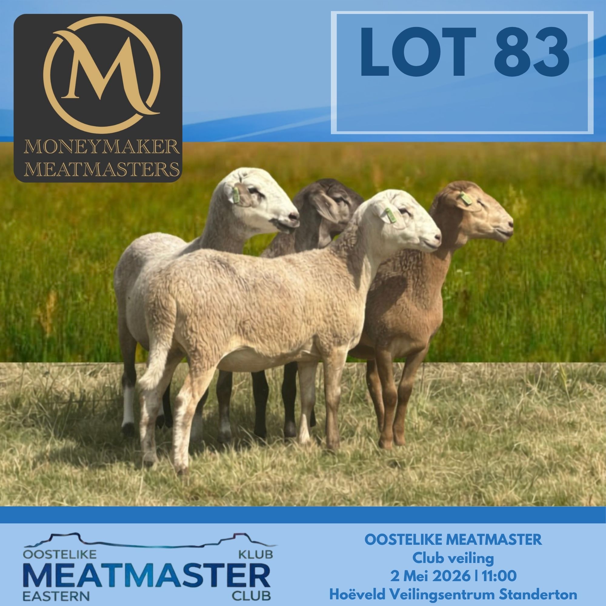 Lot 83